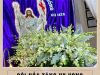 HỎA TÁNG CÔNG GIÁO- GÓI PHỤC SINH